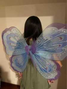 Large cosplay fairy wings