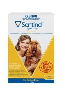 6 chews - Sentinel Spectrum Yellow for Medium Dogs