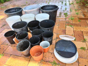 18 planting pots + 3 saucers +9more