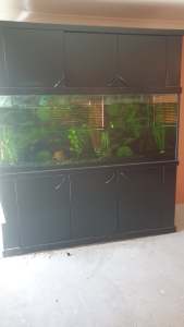 Fish Tank 6ft