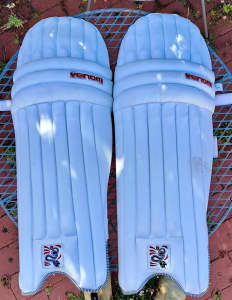 Youth Cricket Pads and Gloves