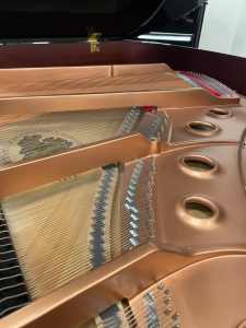 Brodmann PE-162PE Ex-Display Special Grand Piano - 10 Year Warranty