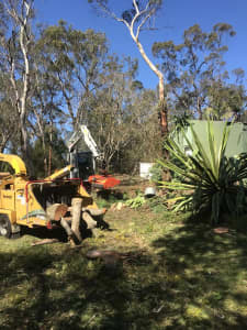 Wanted: Tree lopping stump grinding land clearing tree trimming