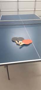 Ping Pong, Table Tennis