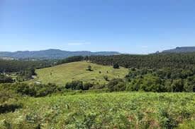 168 acres, RU1 productive farm magnificent views. NSW northern Rivers