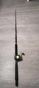 Fishing rod and reel 