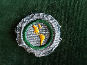 Rare vintage Girl Scout (USA) merit patch Western Hemisphere