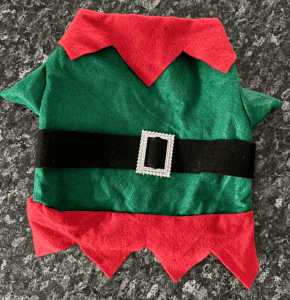 Small Dog Christmas outfit Elf