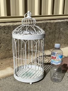 Decorative Bird Cage / Ornamental Bird Cage
