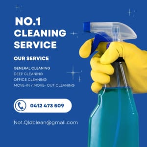 House Cleaning services 