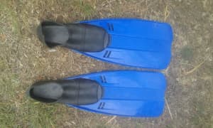 Medium size flippers $8
