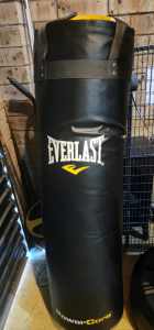 Boxing bags Everlast Morgan and Avant