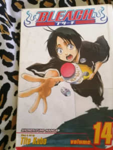 Bleach Volume 14 by Tite Kubo/ Manga