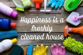 Domestic Cleaning Services ( Direct contract)