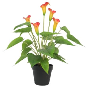 Artificial Flowering White and Orange Peace Lily / Calla Lily Plant 50cm