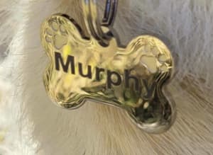Dog ID name tag bone paw embossed laser marked stainless steel AU fast