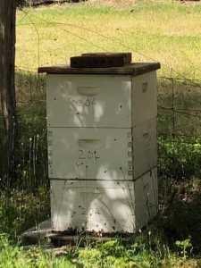 Bee hives 8 and 10 frame for sale