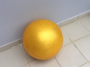 Exercise ball about 45cm in diameter.