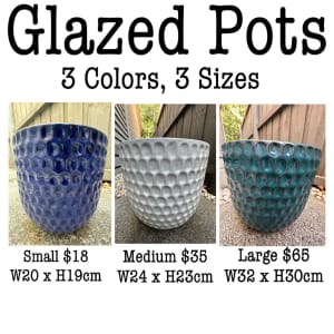 New Glazed Pots Sale - Great Prices, Essendon