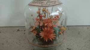 Flowers in a bottle