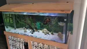 Large fishtank/aquarium. Need gone