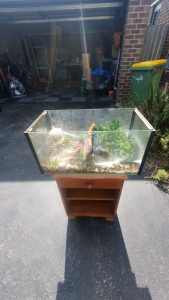 Glass Fish Tank & Accessories 
