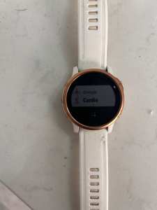 Garmin Fenix 6s pro smart watch