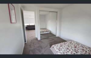 Room Available for Rent