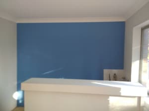 Honest Painting（Licensed Painter）for Quality Job