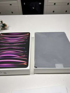 iPad Pro and ipencil