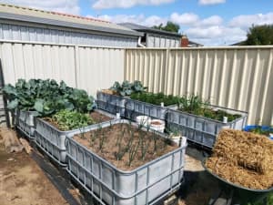 water tank wicking bed aquaponics tote garden pod
