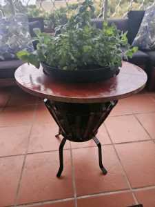 Unique Coffee Table with Herbs