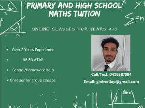 Online Mathematics Tutor for Primary and High School Students