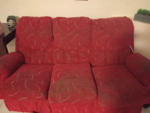 FREE lounge and two recliners FREE