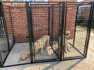 3 Pet Dog Kennel Heavyduty Enclosure Pen Three Gates and Divider Panel