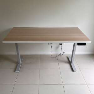 Electric Sit Stand Large Desk