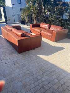 Brown leather couch - Plush Sofas