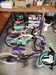 3 girls bmx bikes price per each