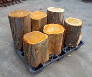 Hardwood logs for anvil stand from $50 each
