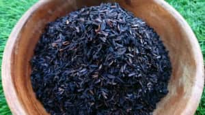BIO-CHAR AUSTRALIANCARBONISED RICE HULL CHARCOAL FROM $15