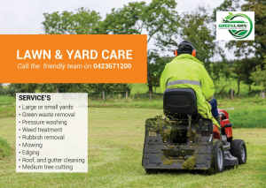 Lawn & Yard services & cleaning services