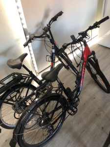Electric bikes for sale