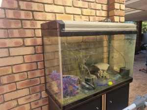 Fish Tank with lid.