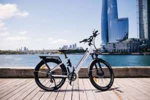 Cyberbikes DIANA, THE CONFIDENT QUEEN Powerful Electric Bike Ebike