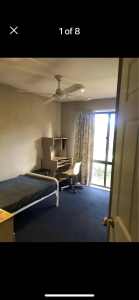One Beautiful furnished room in Hawker 2614 $160 short/long term
