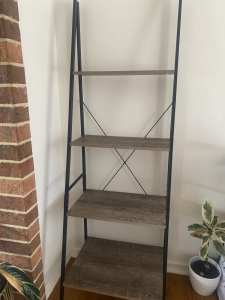 Ladder shelf display
