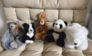 Stuffed animal toys - total of 5