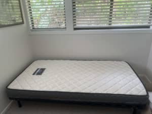 King Single bed new