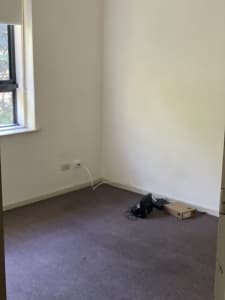 Room is available for Rent in Ormond