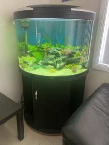 Complete Large fish tank aquamode